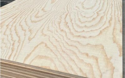 Nouveauté ! Contreplaqué Pin Radiata Chilien