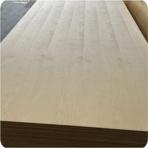 Bouleau semi deroule - 500x500_1